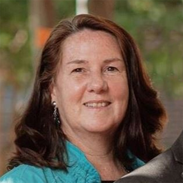 City Council The Coalition